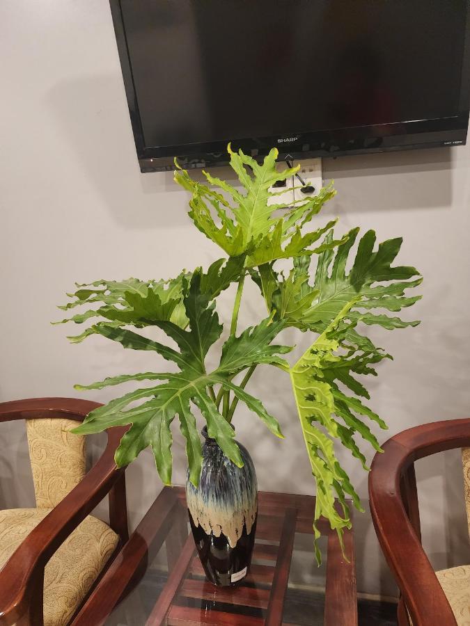 Hotel Te Amo Hai Phong Eksteriør bilde